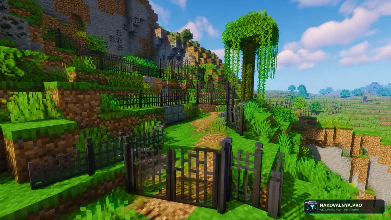 Изображение к проекту Macaw's Fences and Walls