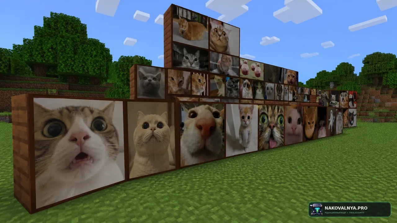 Meme Cat Paintings: картины с котами-мемами — редакционная иллюстрация 3 из 3