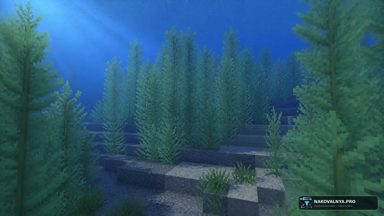 Montana's Bushier Kelp: густые заросли ламинарии — редакционная иллюстрация 2 из 3