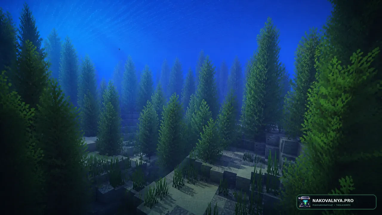 Изображение к проекту Montana's Bushier Kelp