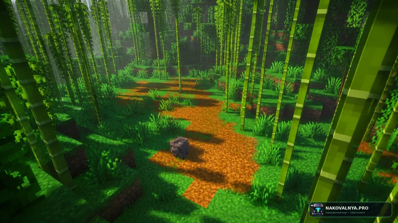 Изображение к проекту More Animals 2
