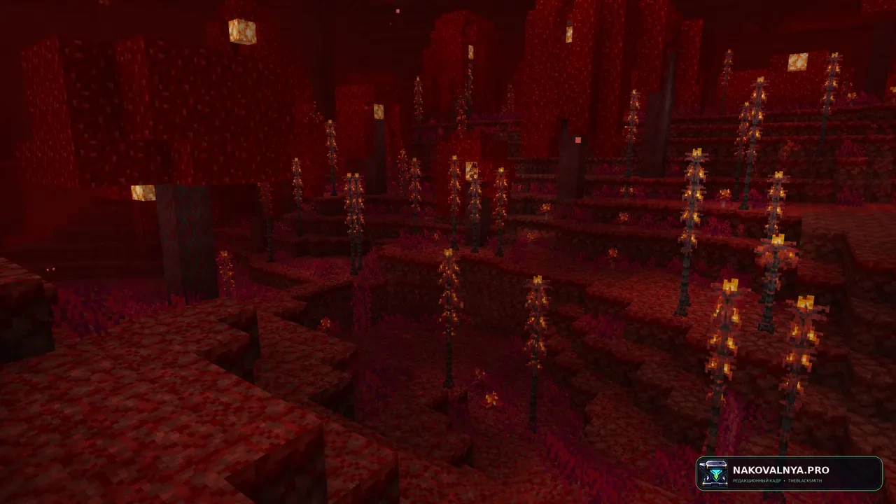 Изображение к проекту My Nether's Delight