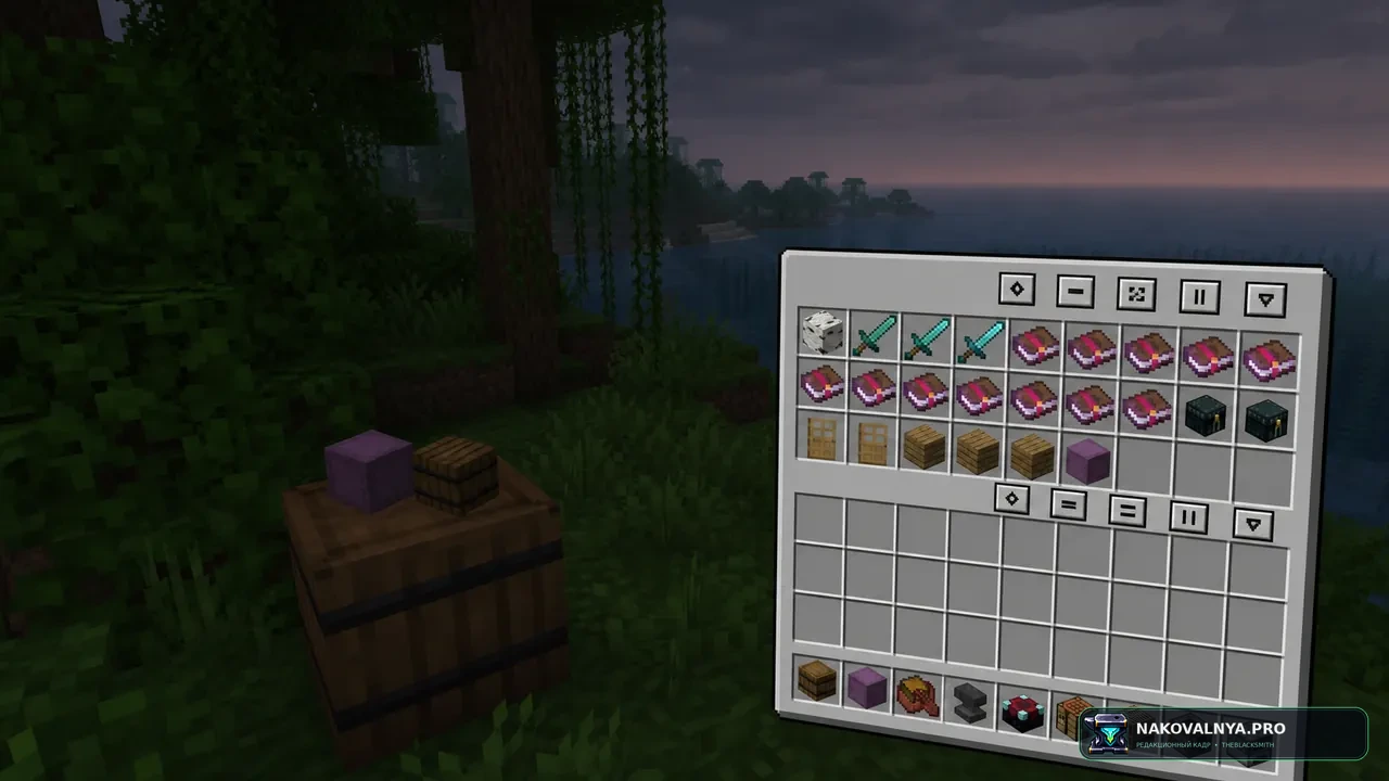 Изображение к проекту Nemo's Inventory Sorting