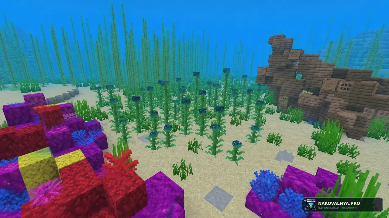 Изображение к проекту Oceanic Delight