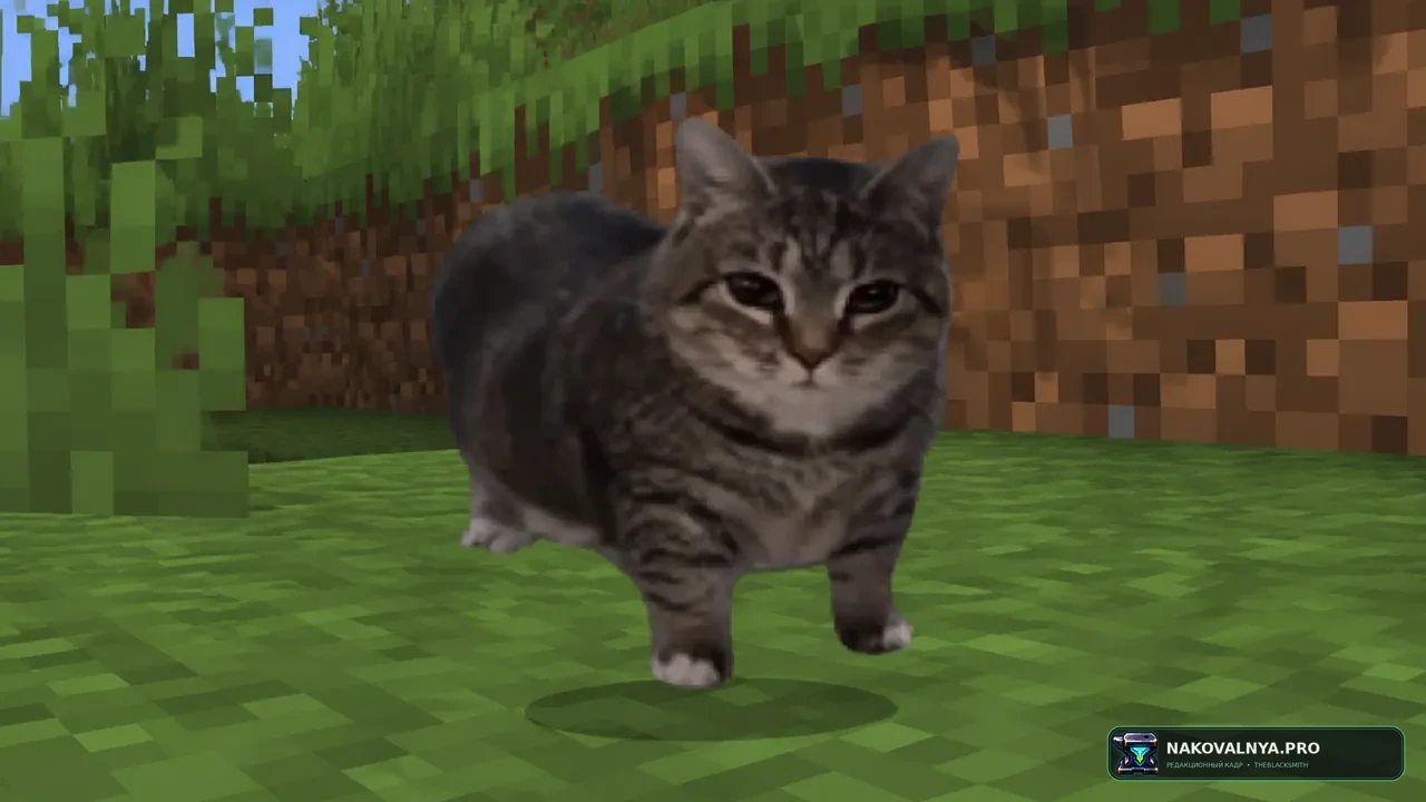 cat OIIAOIIA totem (Cot): мемный кошачий тотем со звуком — редакционная иллюстрация 3 из 3