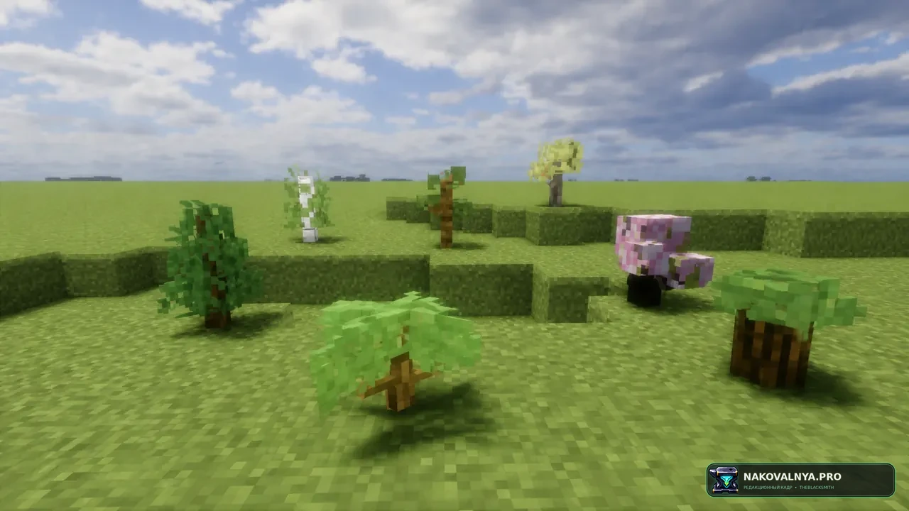 Изображение к проекту Overdetailed Saplings