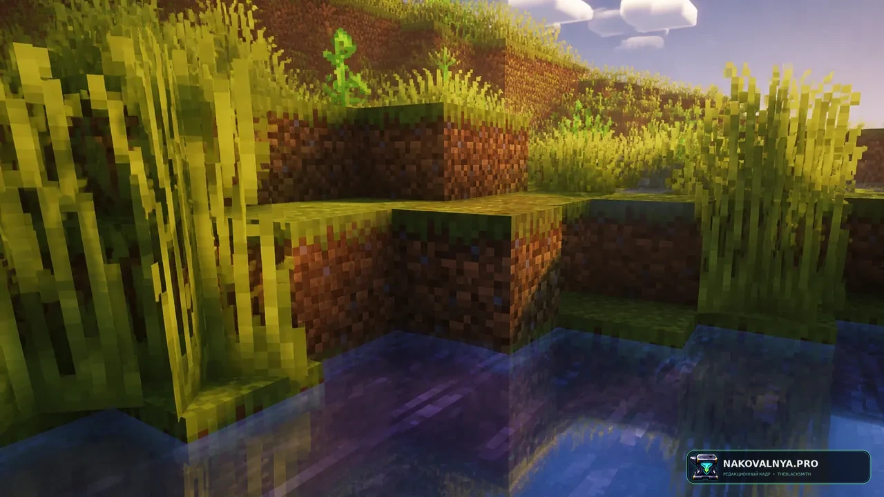 PineShaders: шейдер — редакционная иллюстрация 3 из 3