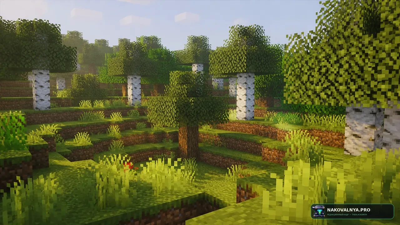 Изображение к проекту Pixelated Shaders