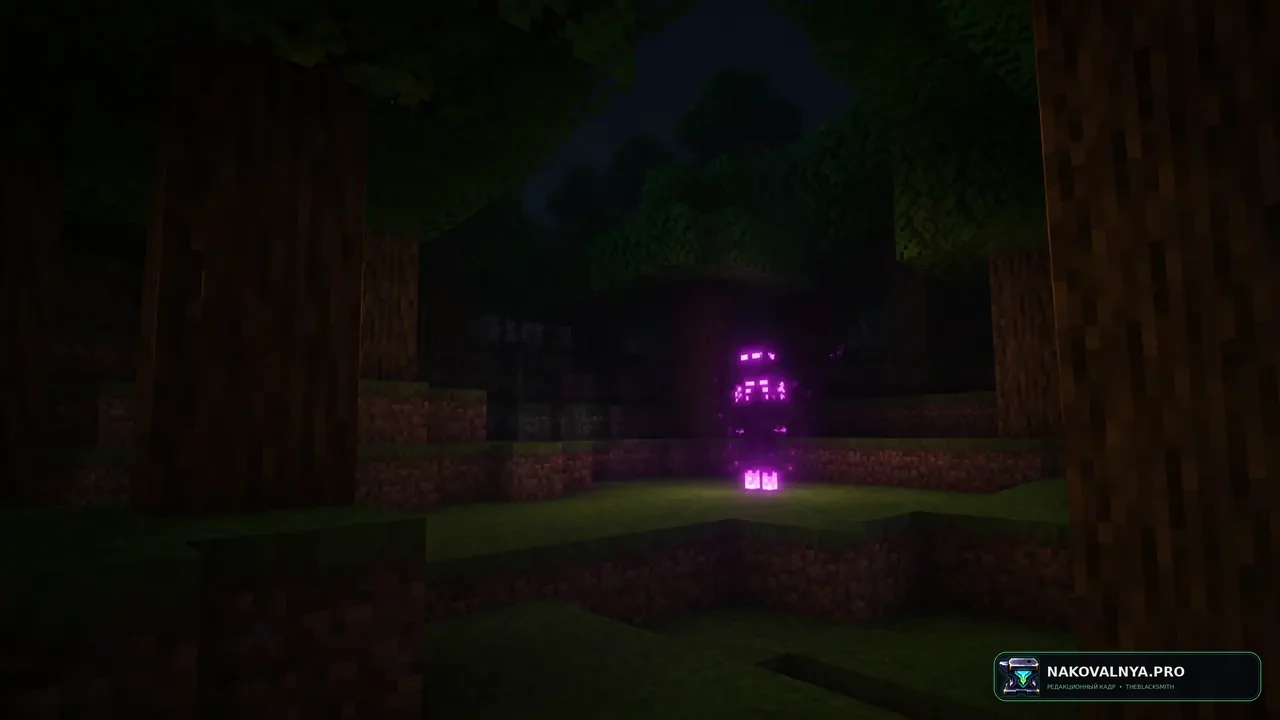 Изображение к проекту Redone Endermans X Fresh Animations