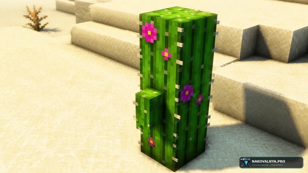 Remodeled Cactus: разнообразные модели кактуса — редакционная иллюстрация 3 из 3