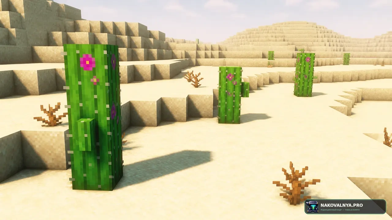 Изображение к проекту Remodeled Cactus