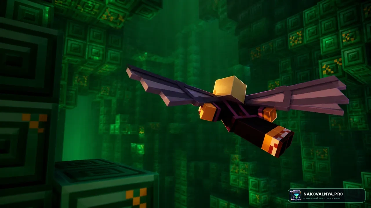 Изображение к проекту Rethoughted Elytra