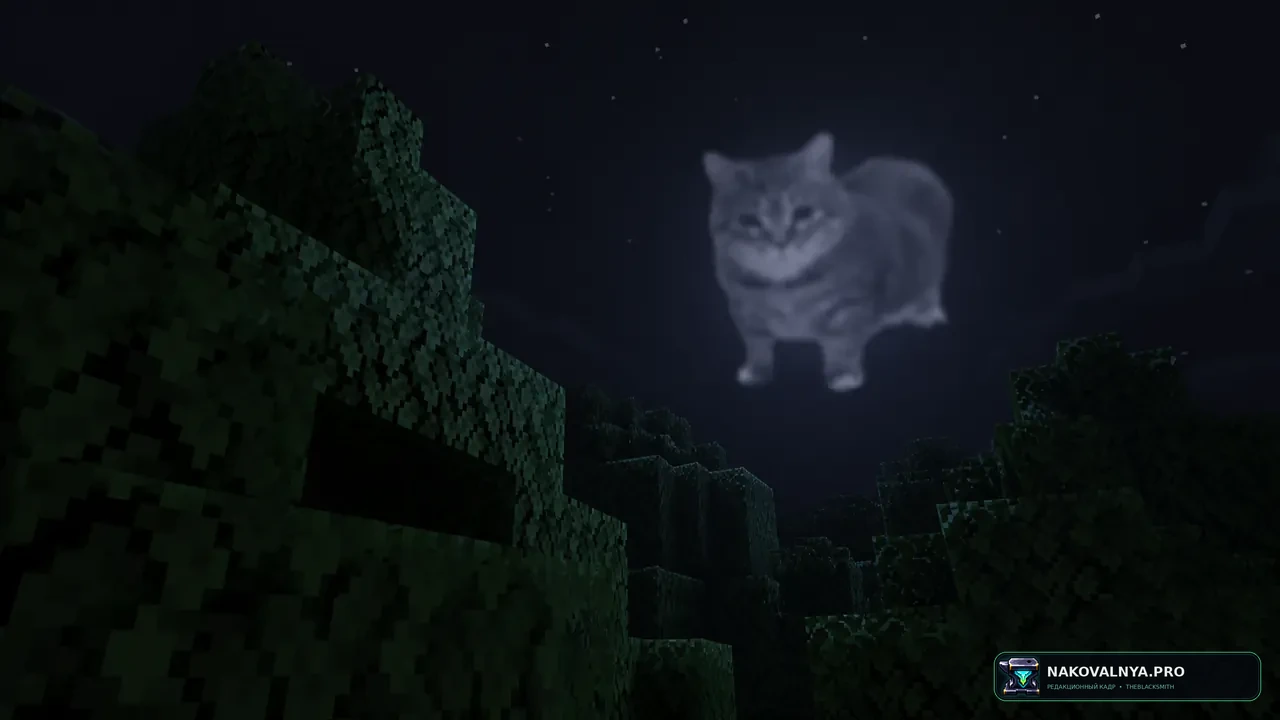 sun cot (and moon): солнце и луну с котом — редакционная иллюстрация 2 из 3