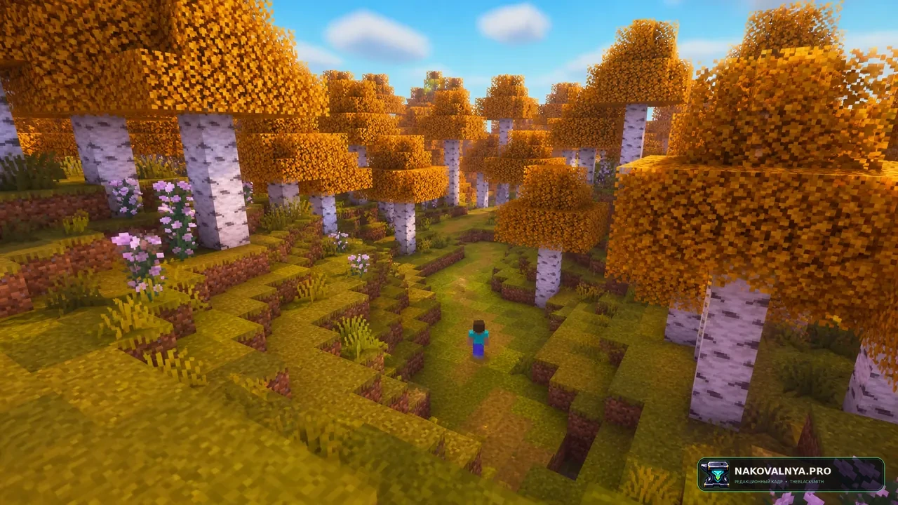 Изображение к проекту Shader_vanilla