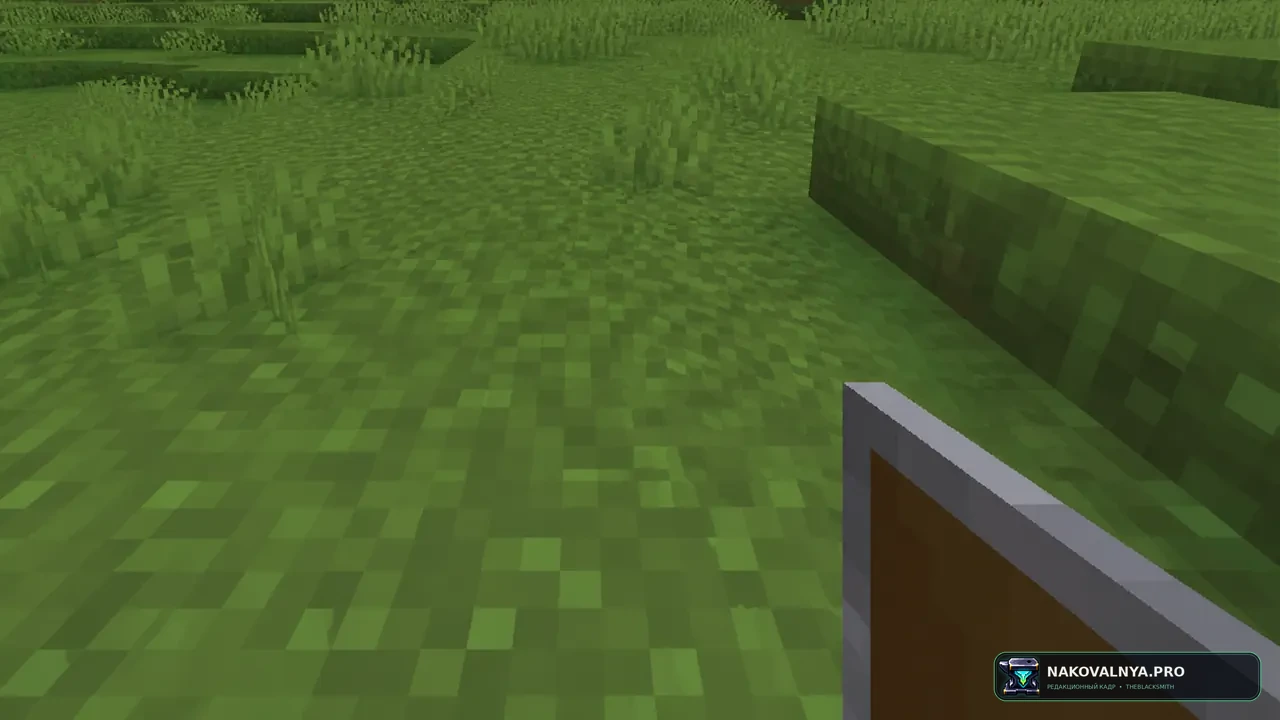 SideShieldTexturePack: боковой щит с компактным видом при блокировании — редакционная иллюстрация 3 из 3