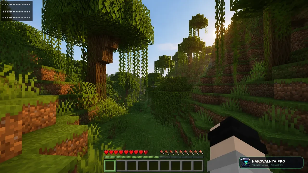 Sodium Extra Information: информацию о состоянии игры — редакционная иллюстрация 2 из 3