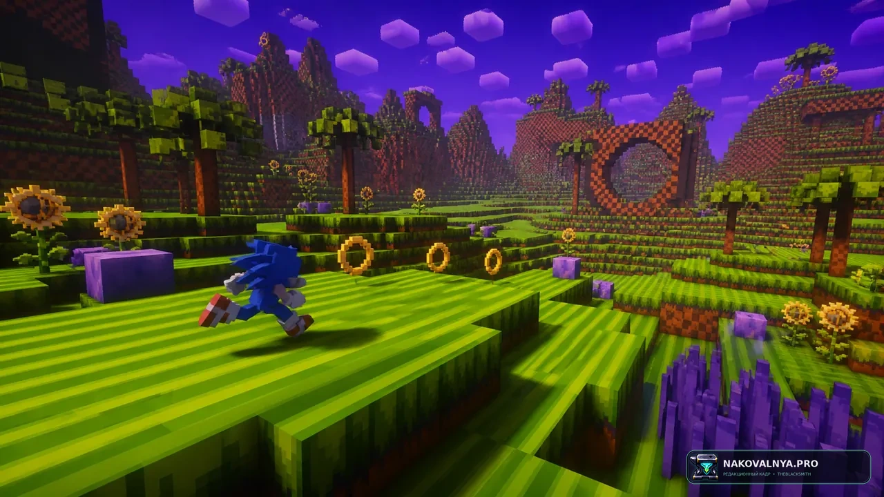 Изображение к проекту Sonic The Hedgehog Craft