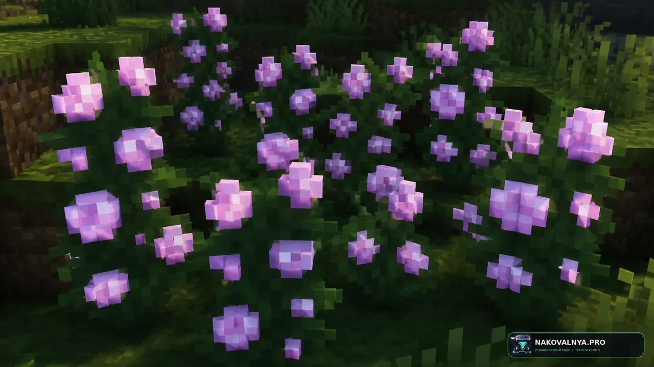 Spring Flowers: разнообразные ванильные цветы — редакционная иллюстрация 3 из 3
