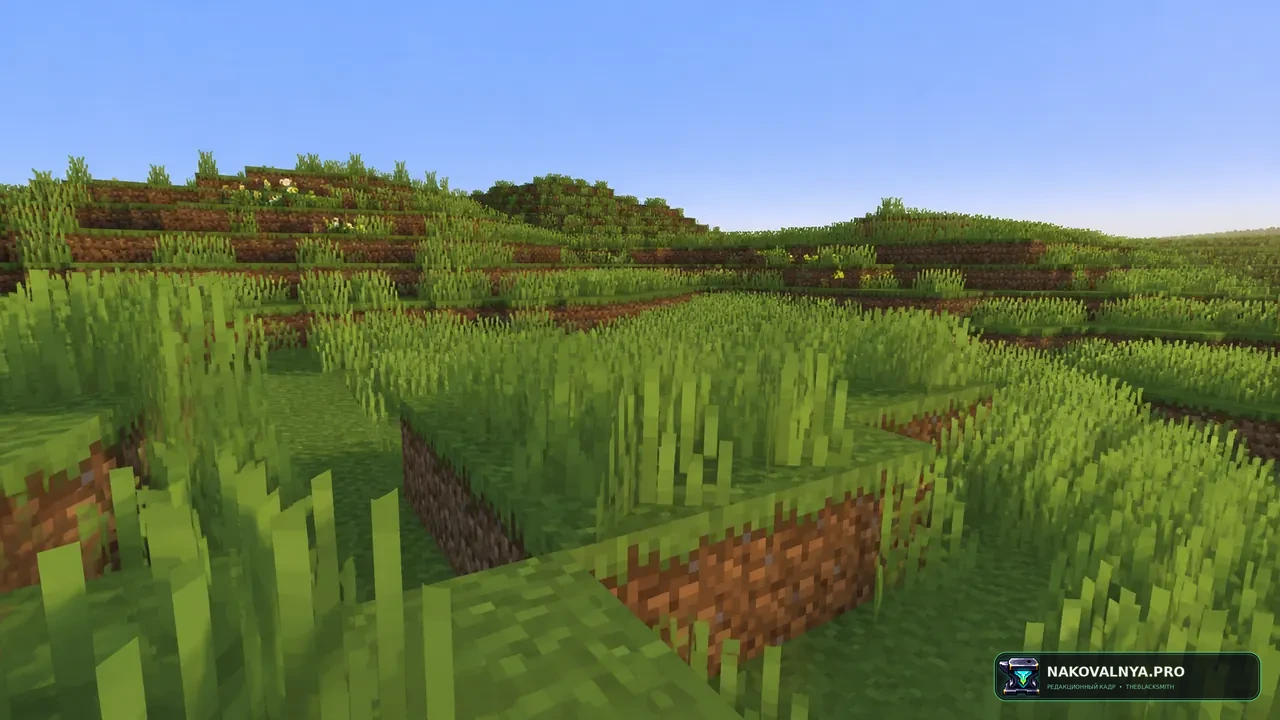 Square Grass: густую квадратную траву — редакционная иллюстрация 2 из 3