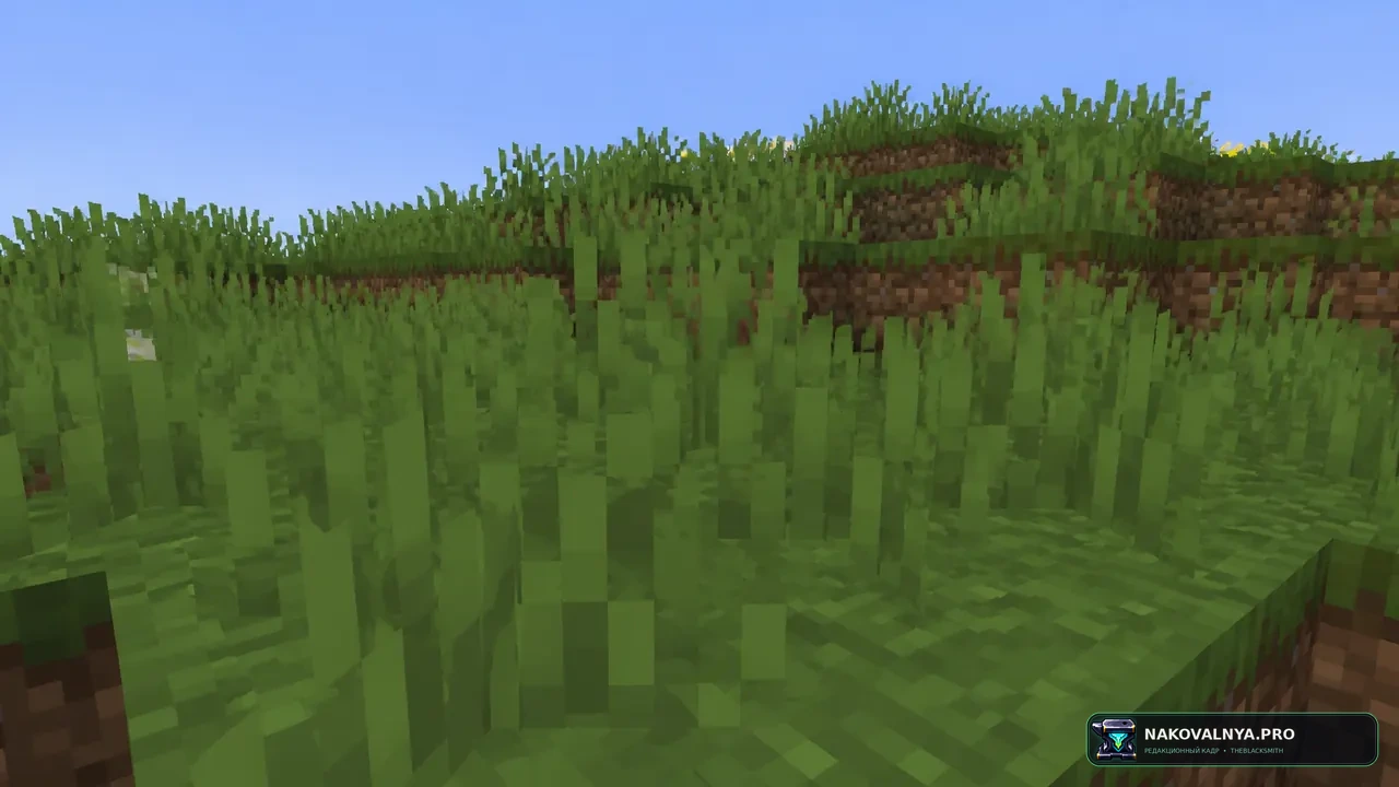 Square Grass: густую квадратную траву — редакционная иллюстрация 3 из 3