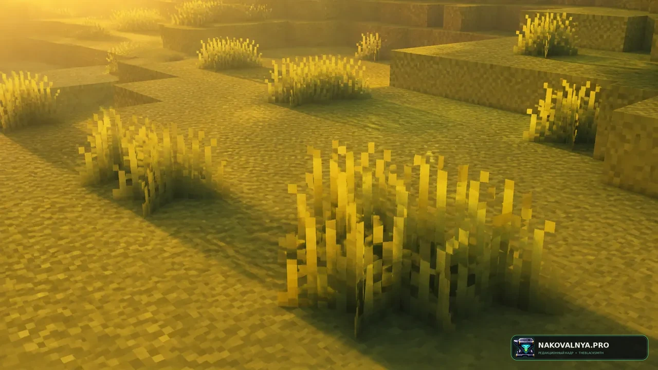 Изображение к проекту Square Grass