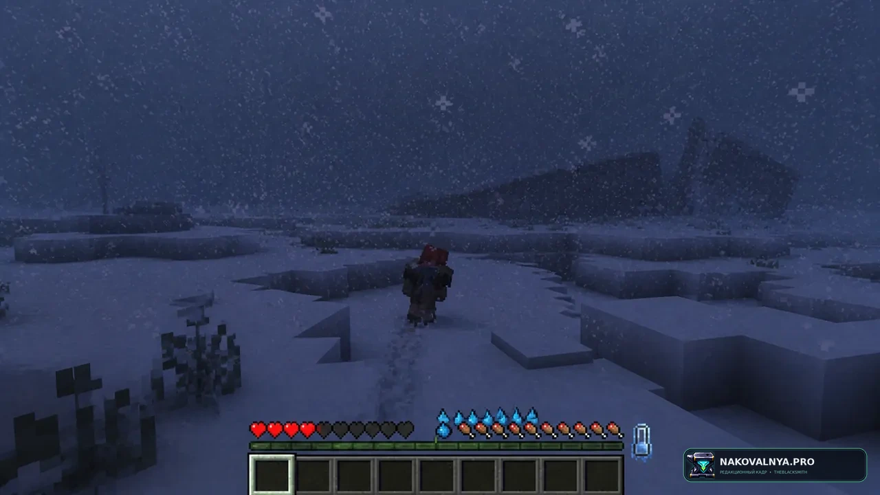 Изображение к проекту Survive the Winter