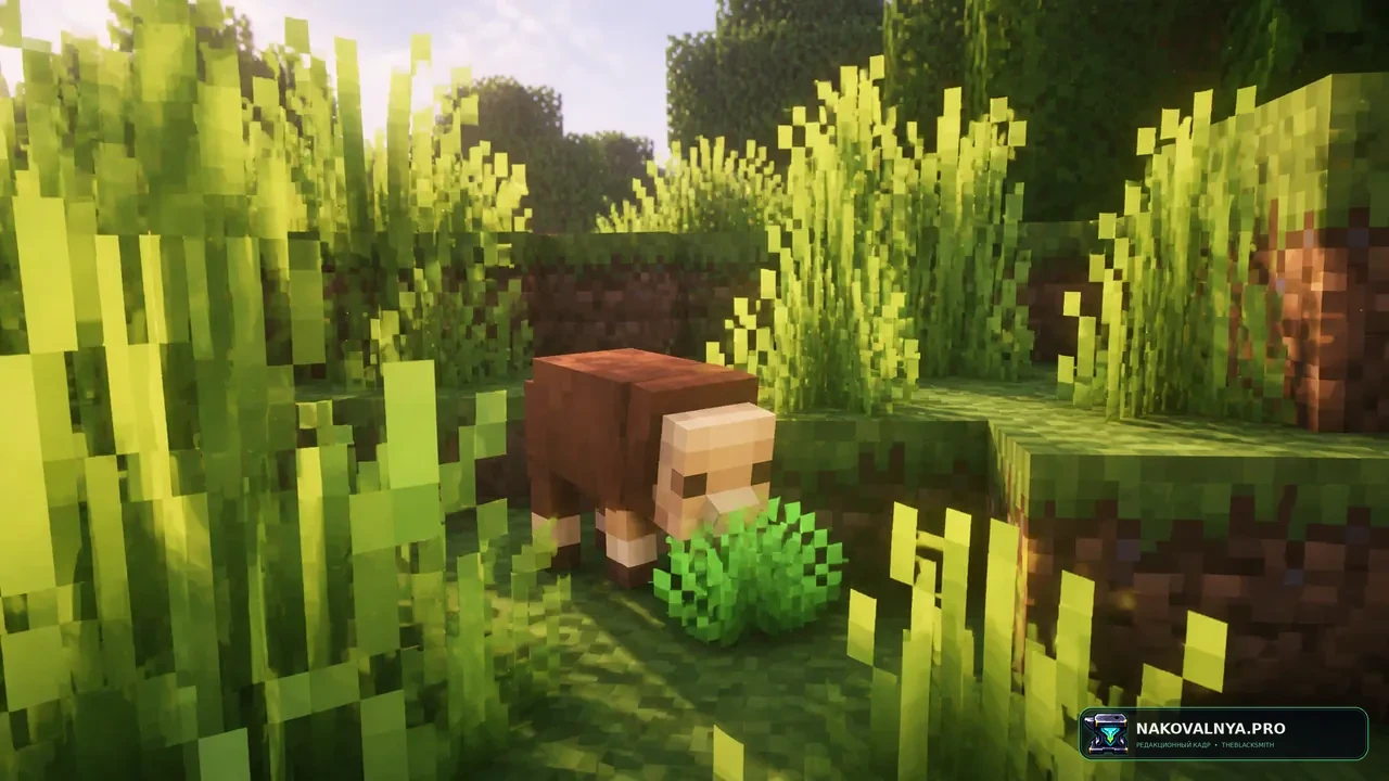 TameableMinisheep: приручаемую мини-овцу — редакционная иллюстрация 3 из 3