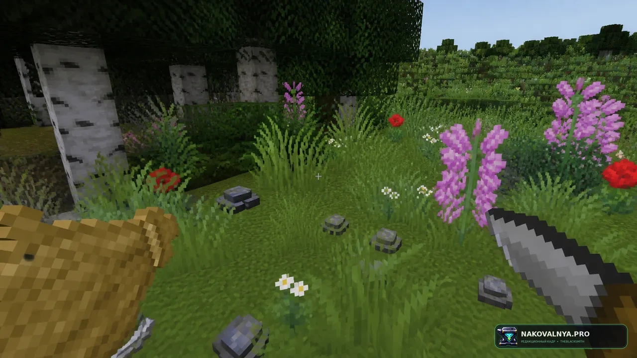 TerraFirmaCraft Odyssey: TFC+: сложное реалистичное выживание с TFC — редакционная иллюстрация 3 из 3