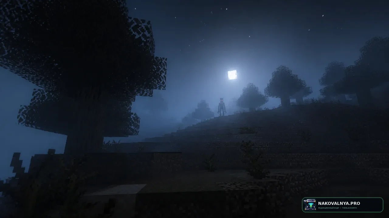 Изображение к проекту The Man From The Fog