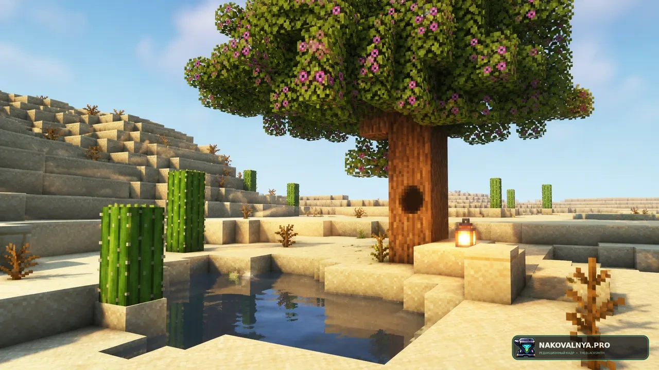 Изображение к проекту Tree Hollows