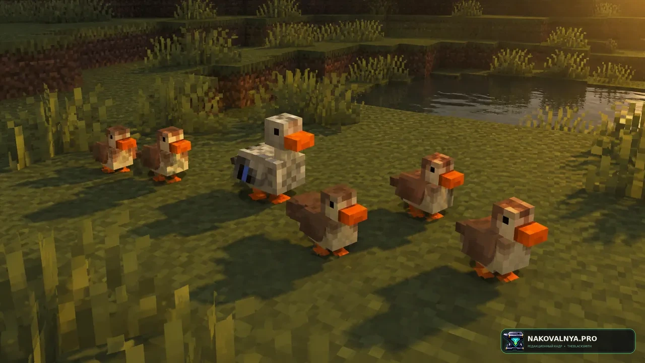 Untitled Duck Mod: уток и гусей — редакционная иллюстрация 2 из 3