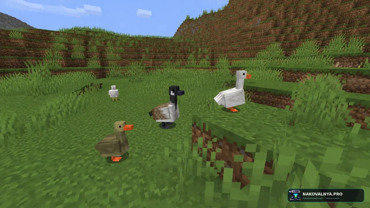 Изображение к проекту Untitled Duck Mod