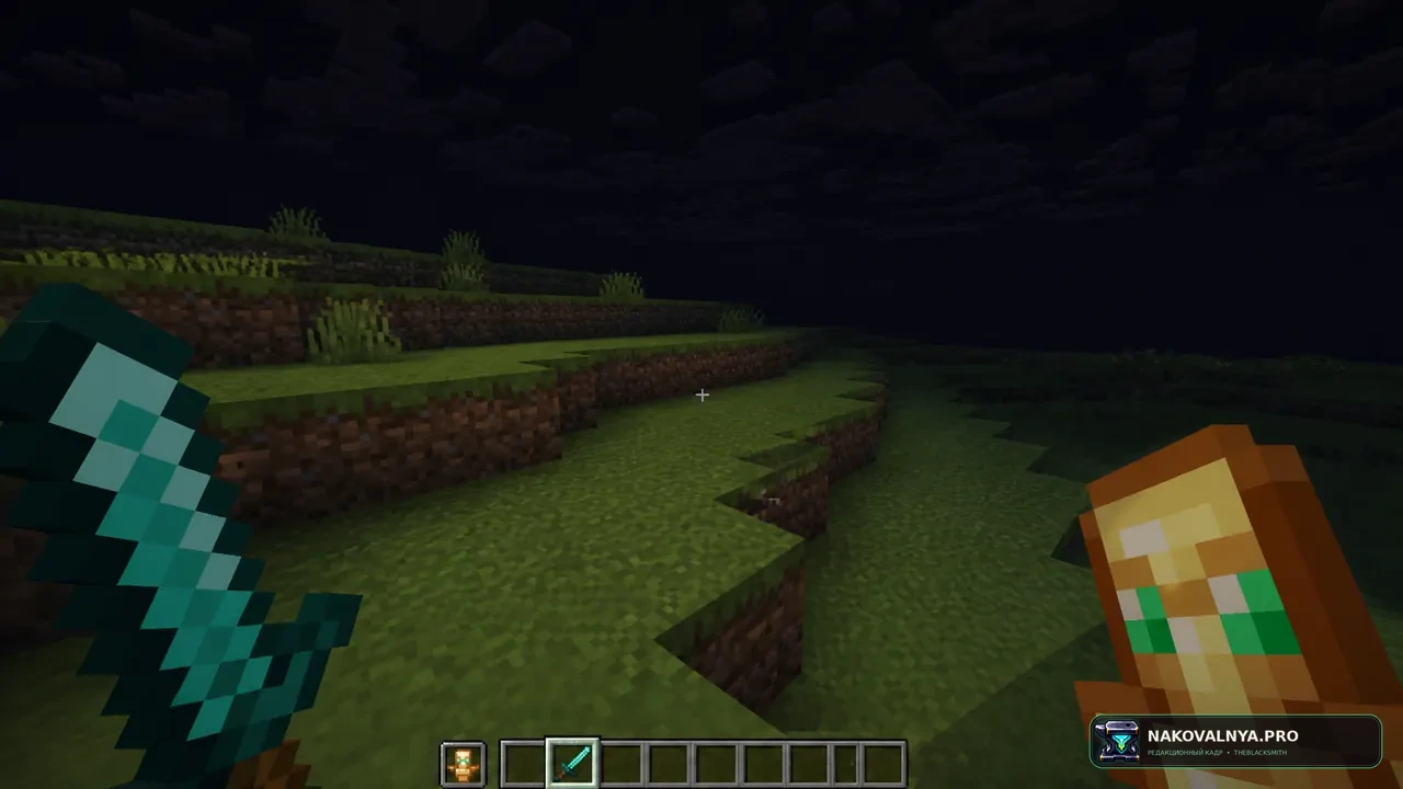 Vanilla SMP - DonutSMP: ванильный PvP и SMP для DonutSMP без утечек по бедроку — редакционная иллюстрация 2 из 3