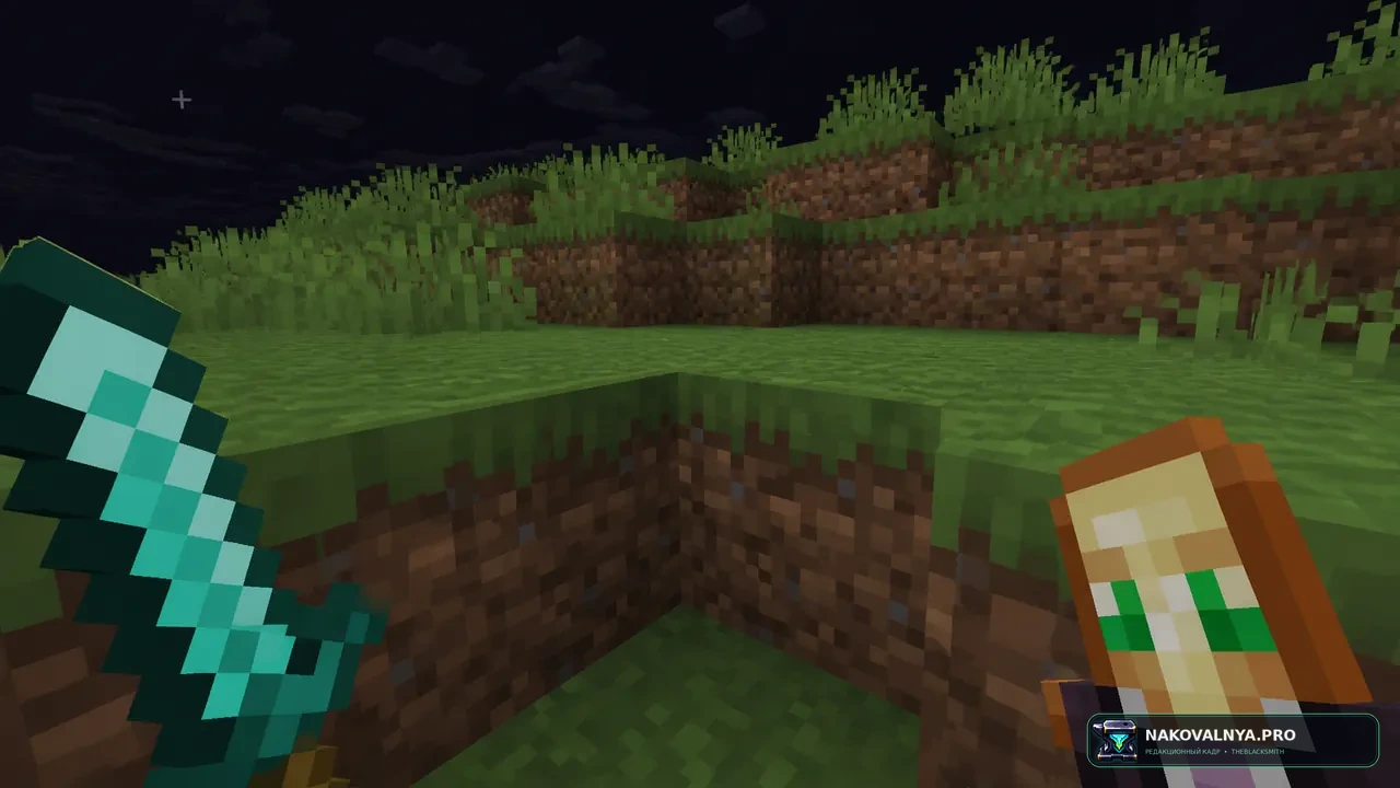 Vanilla SMP - DonutSMP: ванильный PvP и SMP для DonutSMP без утечек по бедроку — редакционная иллюстрация 3 из 3