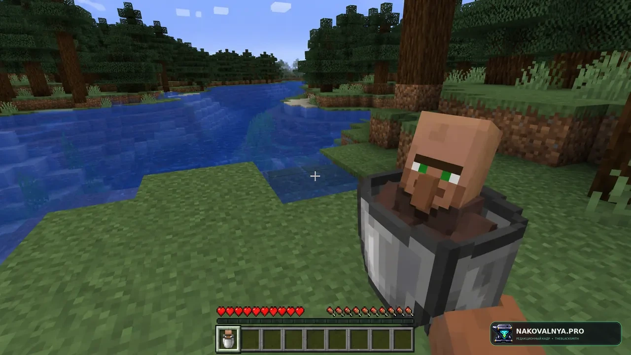 Villager In A Bucket: перевозку жителей в вёдрах — редакционная иллюстрация 3 из 3