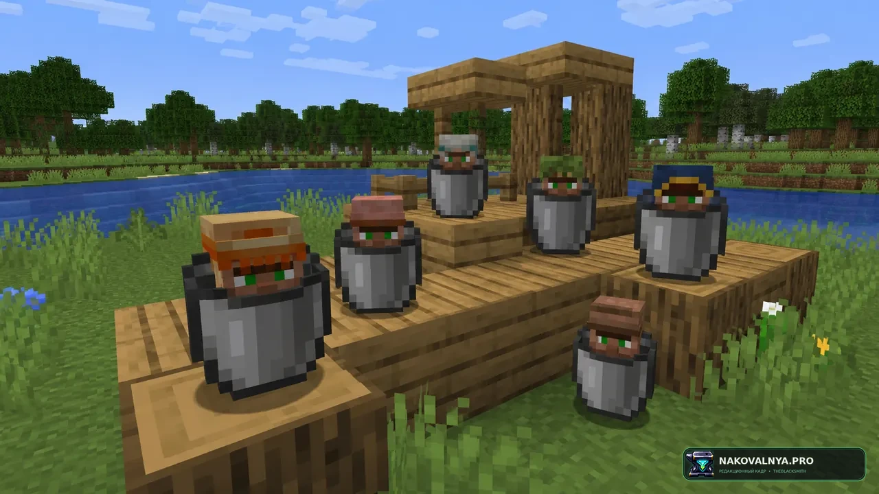 Изображение к проекту Villager In A Bucket