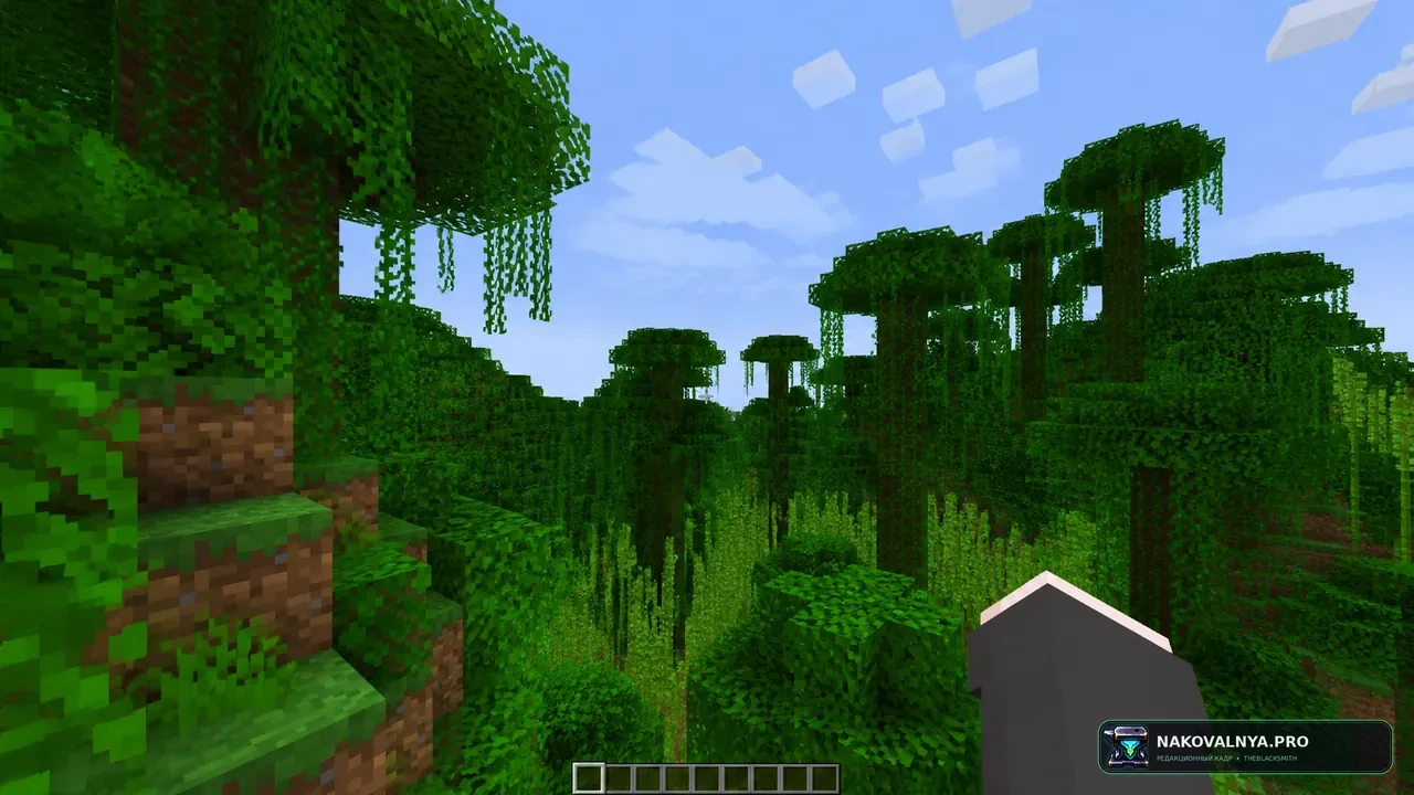VulkanMod: рендерер Vulkan для Minecraft — редакционная иллюстрация 2 из 3