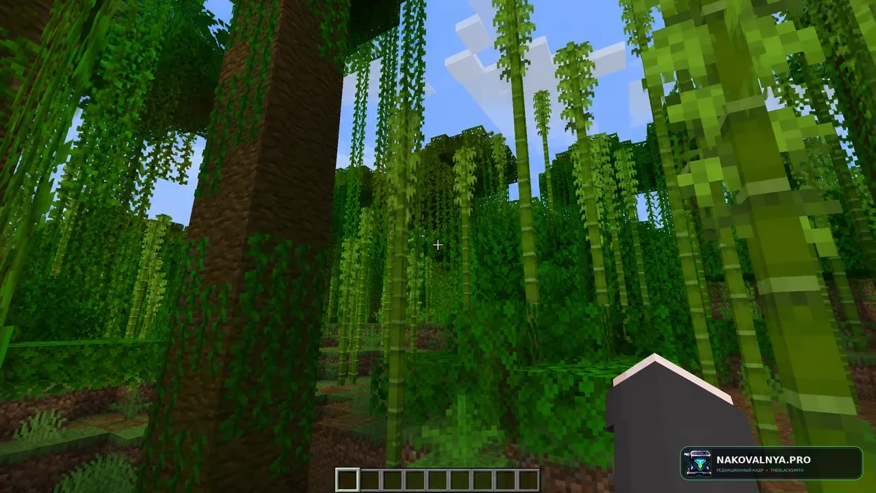 VulkanMod: рендерер Vulkan для Minecraft — редакционная иллюстрация 3 из 3
