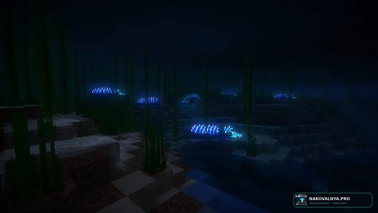 Изображение к проекту Wilderness Planecrash