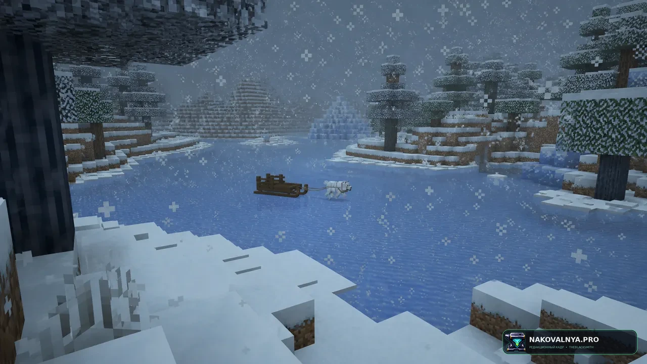 Изображение к проекту Winter Wonderland
