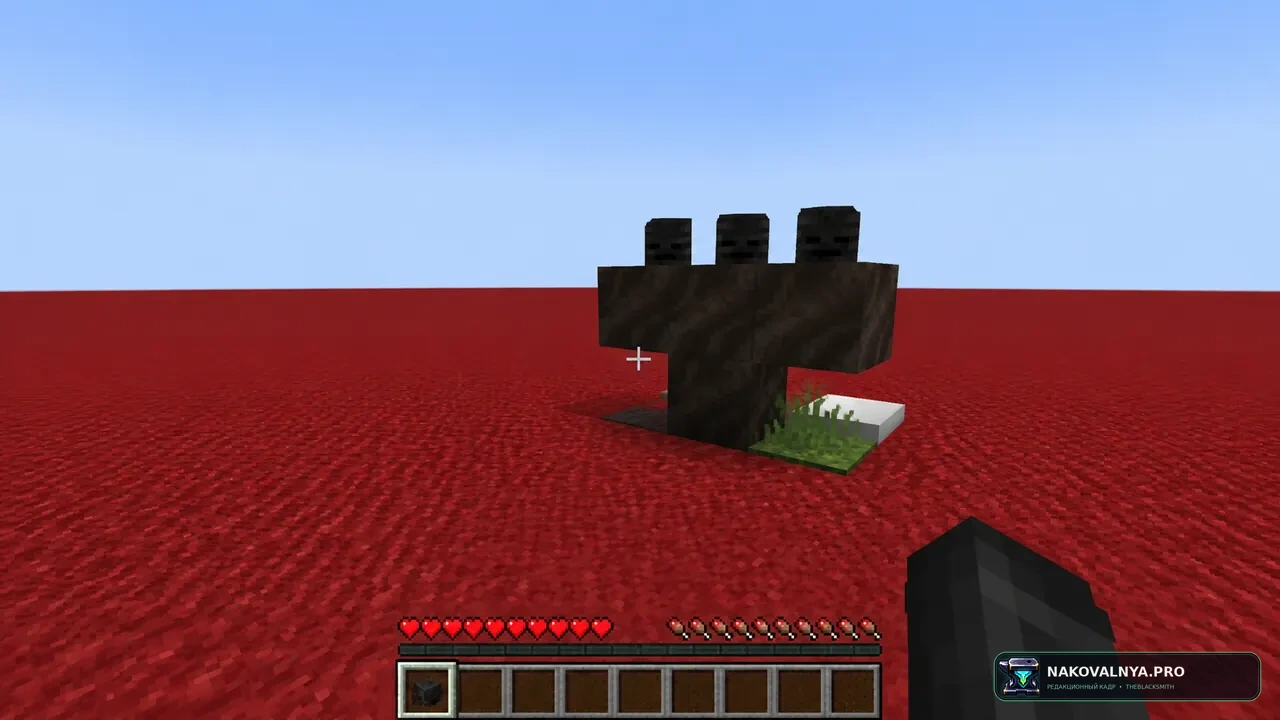 Изображение к проекту Wither Spawn Fix