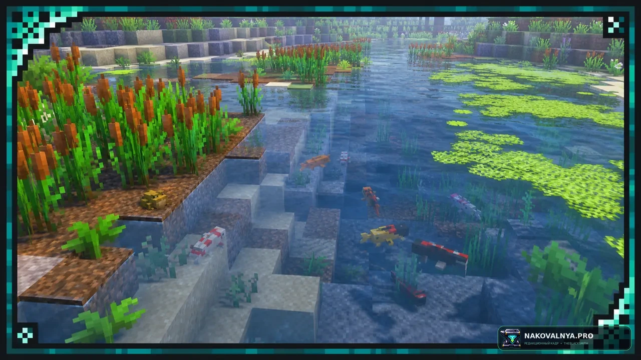 Изображение к проекту xali's Enhanced Biome River & Pond